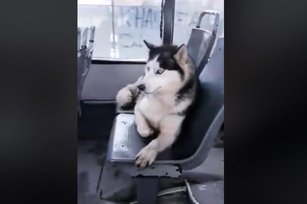 ZAUZEO DVA SEDIŠTA, IAKO NIJE PLATIO KARTU: Sad bi trebalo da pobesnite na ovu vest, ali nećete (VIDEO)