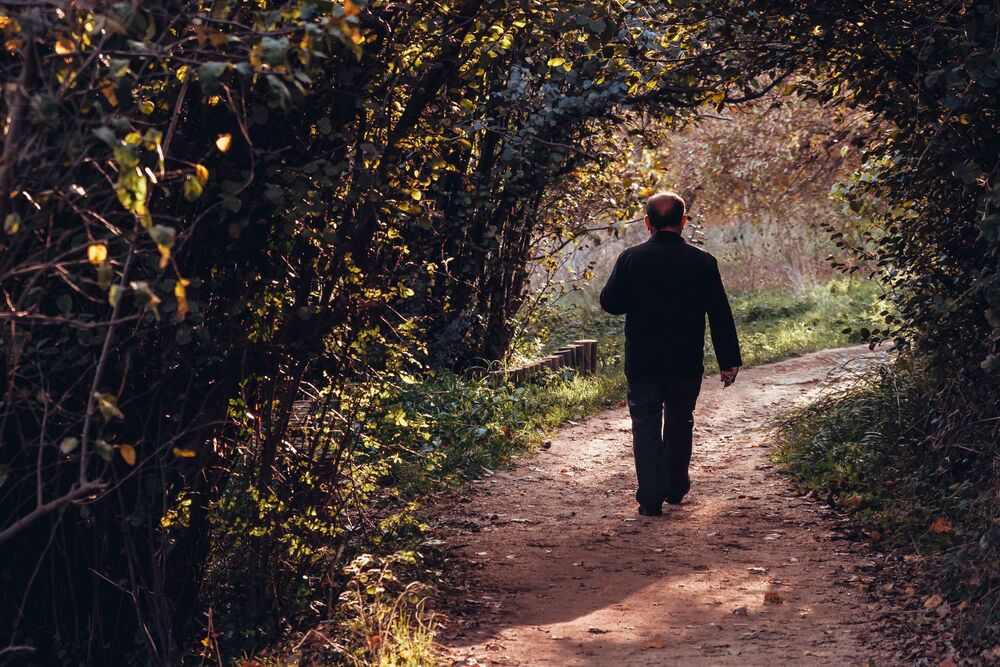 Čovek, Muškarac, Starac, Šetnja, Senka, Leđa