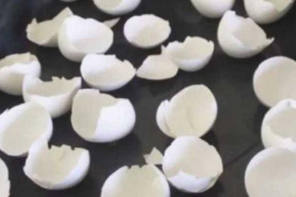 NIKADA VIŠE IH NEĆETE BACATI U SMEĆE! Pogledajte zašto DEVOJKA peče LJUSKE OD JAJA I ŠTA RADI SA NJIMA!