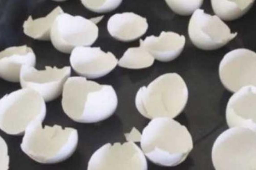 NIKADA VIŠE IH NEĆETE BACATI U SMEĆE! Pogledajte zašto DEVOJKA peče LJUSKE OD JAJA I ŠTA RADI SA NJIMA!