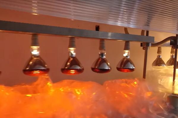 BUGARSKA NAM NUDI DA PRAVIMO NUKLEARKU: Evo gde bi se gradila i KOLIKO BI KOŠTALA!