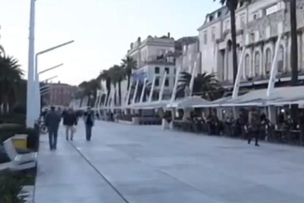 ZMIJOLIKO ČUDOVIŠTE PRIMEĆENO U SPLITU: Krilo se u prometnoj ulici! (FOTO)