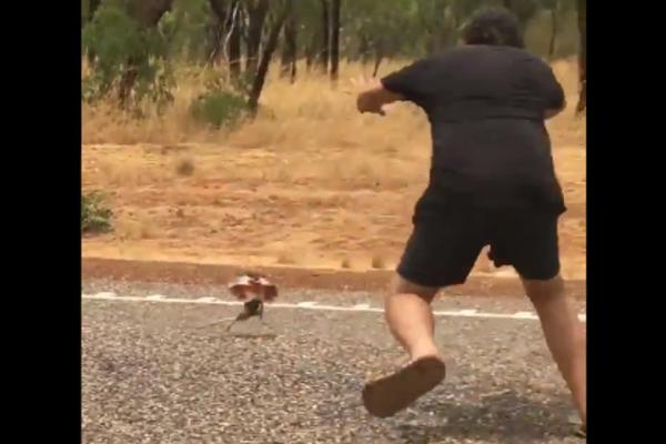 SCENA KAO IZ CRTANOG FILMA: Čovek od dva metra BEŽI dok ga juri mali GUŠTER (VIDEO)