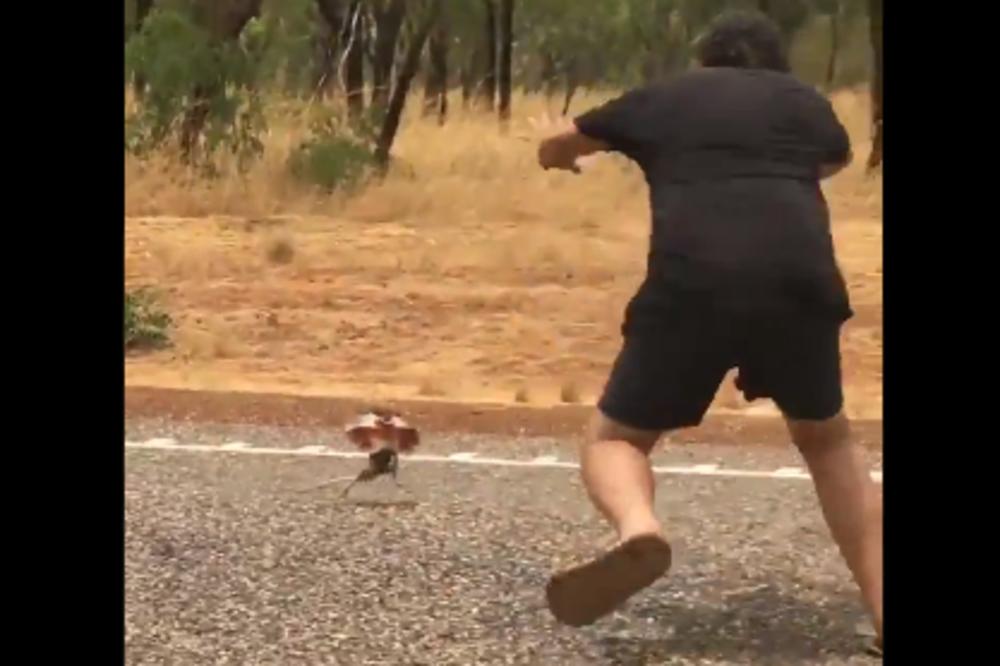 SCENA KAO IZ CRTANOG FILMA: Čovek od dva metra BEŽI dok ga juri mali GUŠTER (VIDEO)