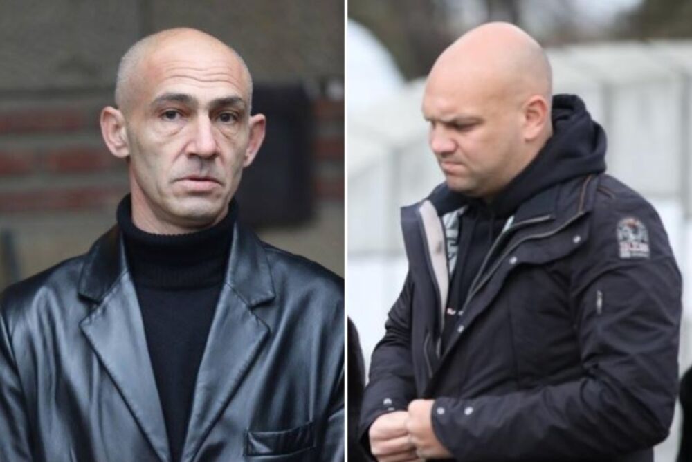 Robert Šaulić, Mihajlo Šaulić