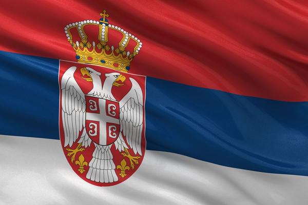 SRBIJA NE MORA DA BRINE! ISTORIJSKI USPEH - osam medalja na Evropskom prvenstvu u MMA!