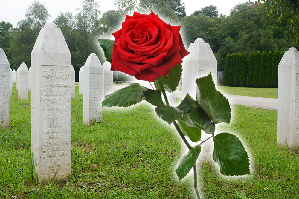 UMRO JOJ JE MUŽ, ONDA JE SVAKOG DANA POČELA DA JOJ STIŽE PO 1 CRVENA RUŽA: Tajna koju je saznala, sledila je skroz