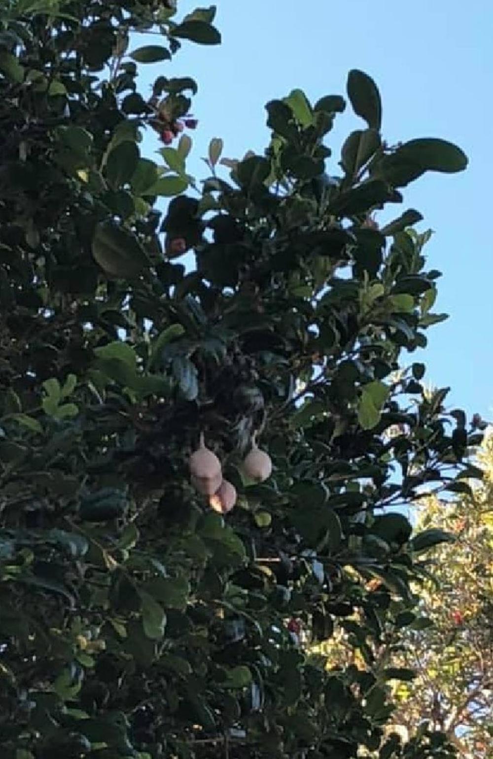 Ugledala nešto čudno 