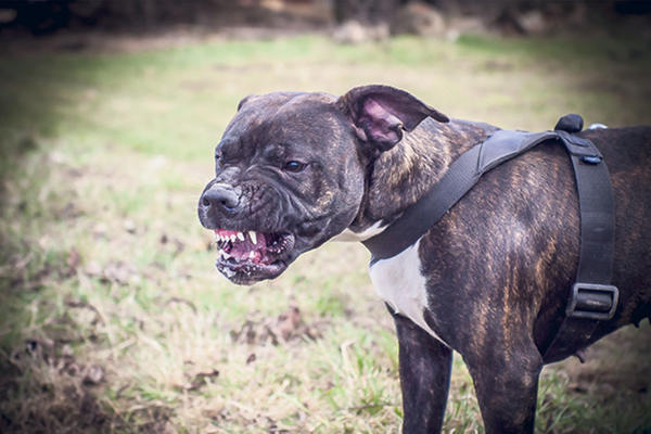 POTRESNA ISPOVEST KRISTINE ČIJU JE MAJKU NASMRT IZUJEDAO NEĆAKOV STRAFORD: Od njenih reči ćete se NAJEŽITI