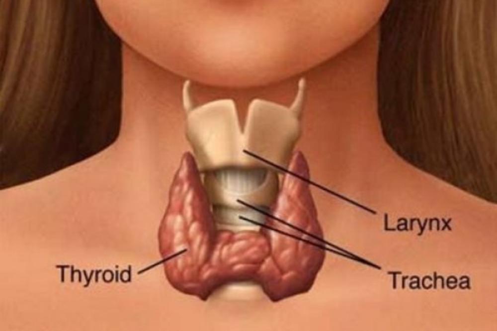 DOMAĆI NAPITAK KOJI LEČI ŠTITNU? Tako nešto ne postoji