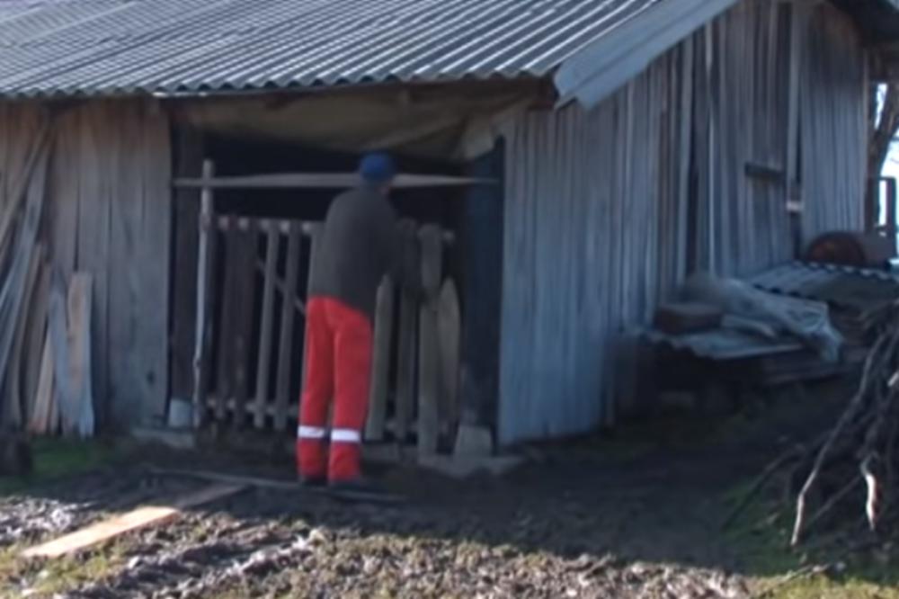 ŠTA ĆE BITI SA DEČAKOM KOJI JE UBIO 12 JAGANJACA? Promenjen prvobitni plan Centra za socijalni rad!