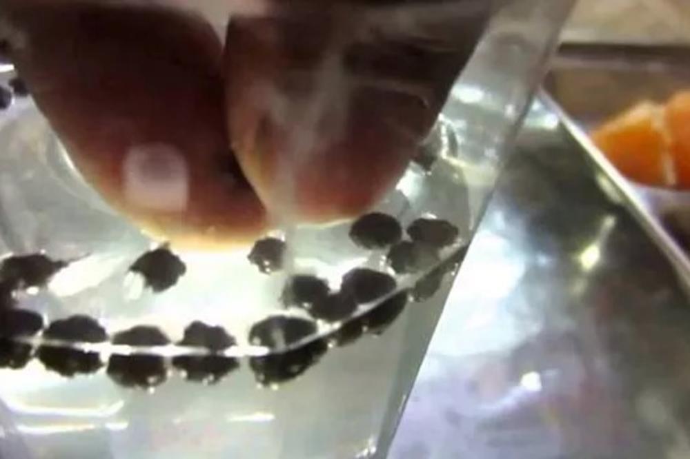 POČNITE ŠTO PRE DA PIJETE OVAJ NAPITAK: Vaš organizam će PUCATI OD ZDRAVLJA I ENERGIJE! (RECEPT)