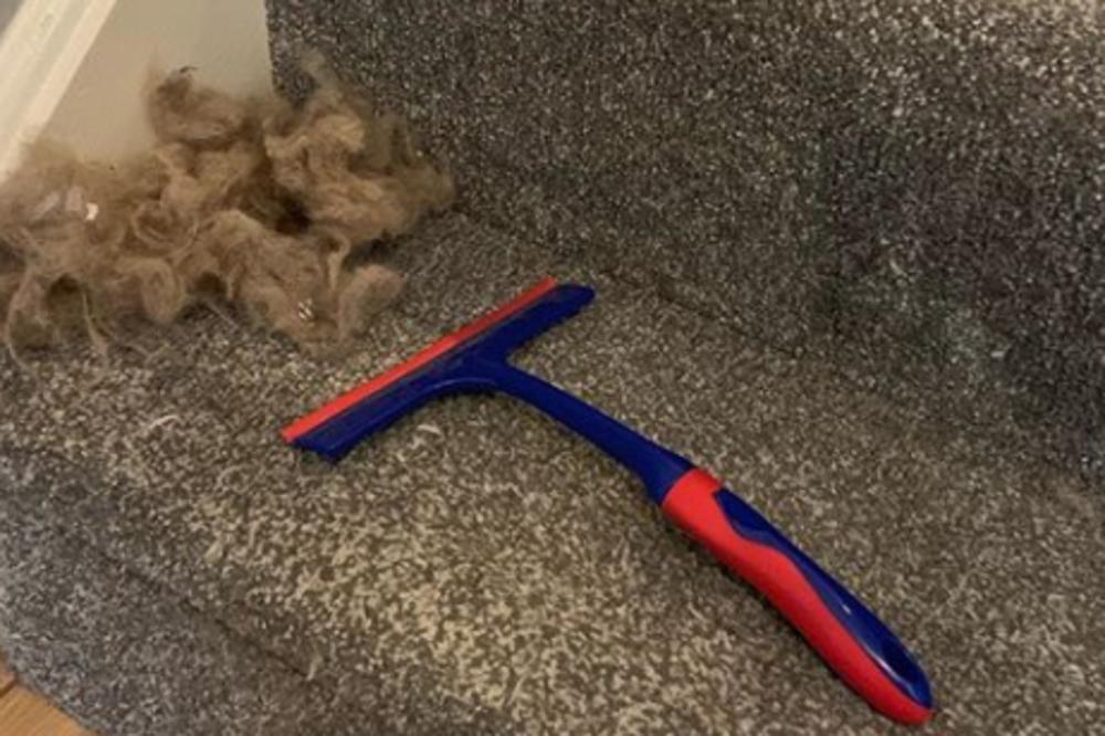 "MISLILA SAM DA JE TEPIH ČIST DOK NISAM URADILA OVO" Domaćica isprobala CAKU posle koje se ŠOKIRALA (FOTO)