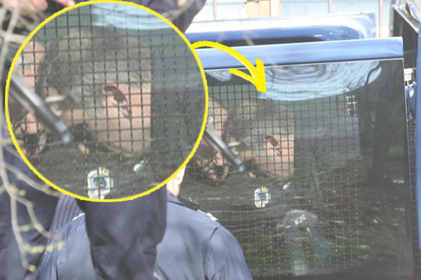 RAZBOLEO SAM SE, ISPADAJU MI ZUBI, MOLIM VAS PUSTITE ME! Ljubiša Buha je vapio u sudnici!