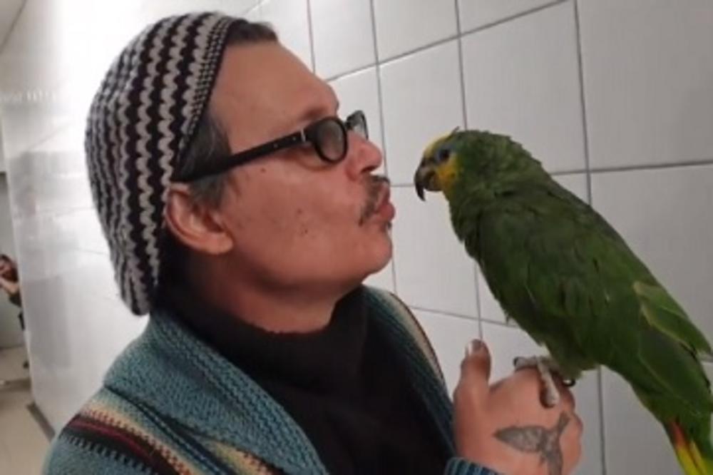 DEP PRIČA S PAPAGAJEM NA SRPSKOM JEZIKU: Krio se od paparaca po Beogradu, PA KONAČNO UHVAĆEN! NASMEJAĆE VAS DO SUZA
