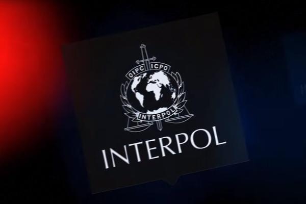 PACOLI UBEĐEN DA OVOG PUTA PROLAZE: Kosovo PONOVO podnelo zahtev za ČLANSTVO u INTERPOLU