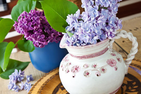 OPREZ! OVAJ CVET NIKAKO NE POKLANJAJTE ŽENAMA ZA OSMI MART: Može da im donese veliku nesreću!