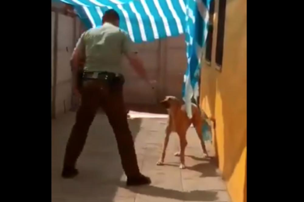 USKOČIO JE U DVORIŠTE DA OSLOBODI PSA KOJI SE NAŠAO U NEVOLJI: Reakcija ove kuce je nešto najslađe! (VIDEO)