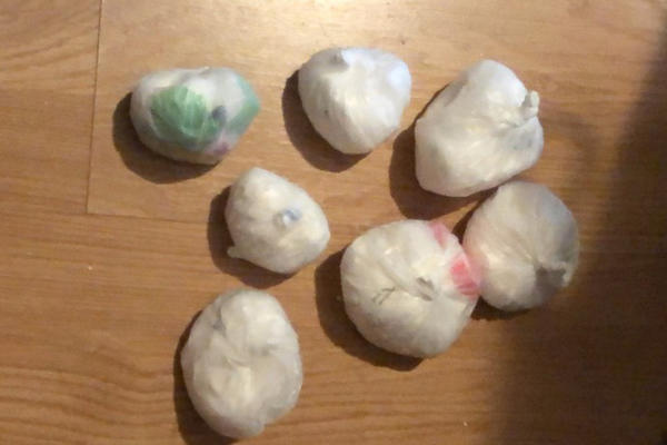 SRPSKI POLICAJCI SU OTVORILI OVE NAJLON KESE: U njima su pronašli stvari zbog kojih će NEKO NA ROBIJU! (FOTO)