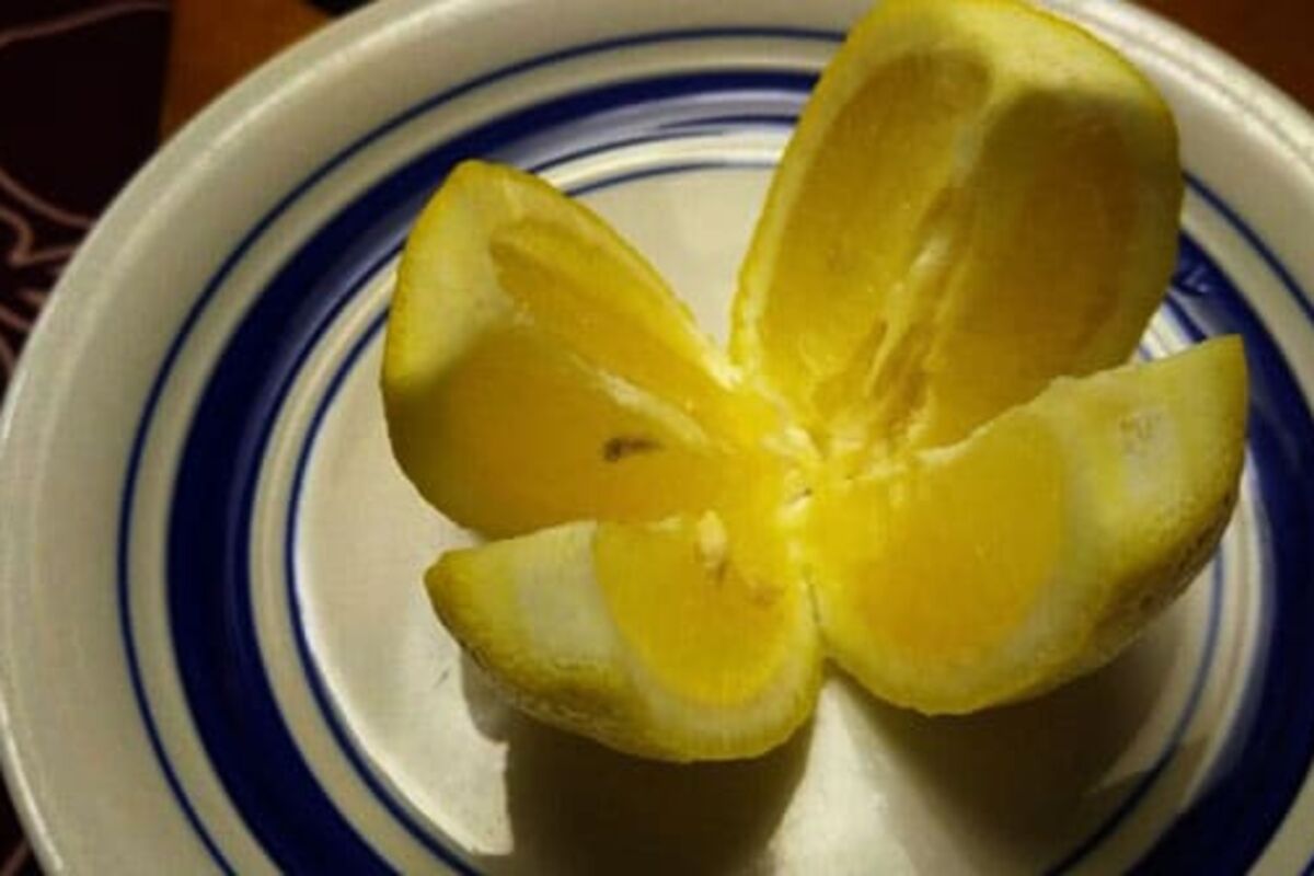 Лимон нарезанный