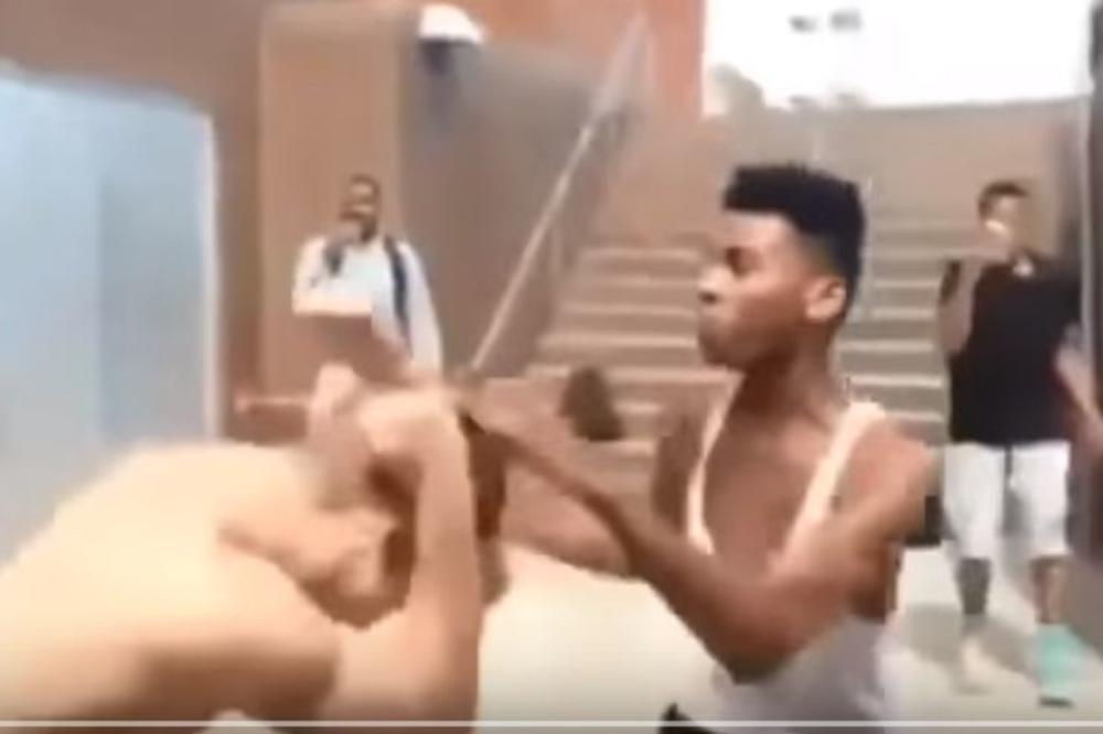 IZAZVAO JE RVAČA NA FERKU: Tu se baš, baš preračunao!!! (VIDEO)