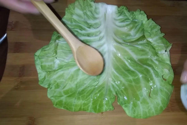 RECEPT NAVODNOG RUSKOG ONKOLOGA NE LEČI RAK: Obratite pažnju