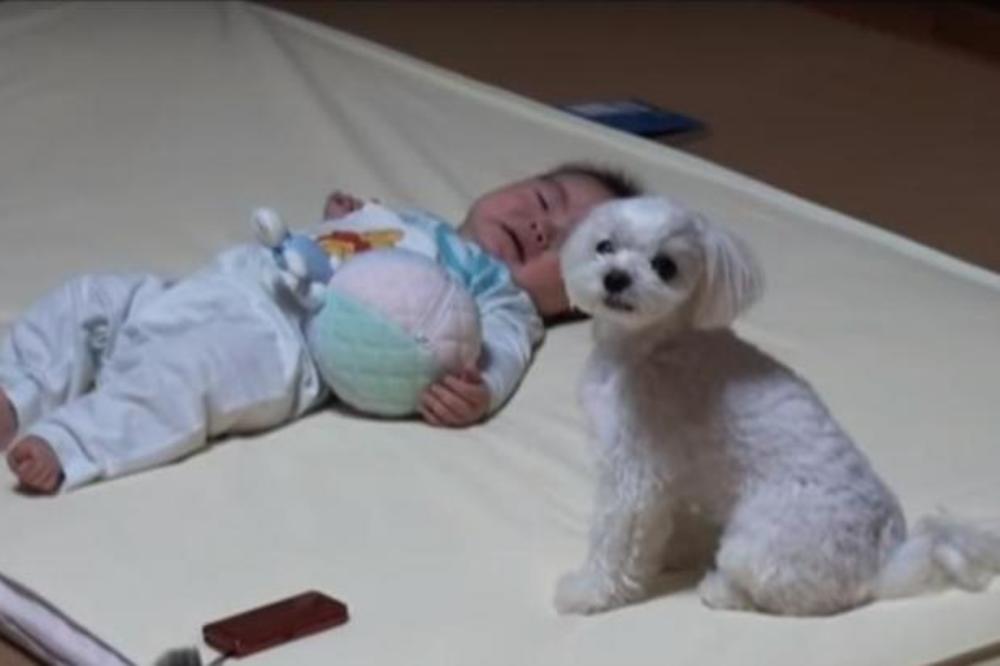 BEBA JE POČELA DA PLAČE: Pogledajte NEVEROVATNU REAKCIJU PSA! Ulepšaće vam dan! (VIDEO)