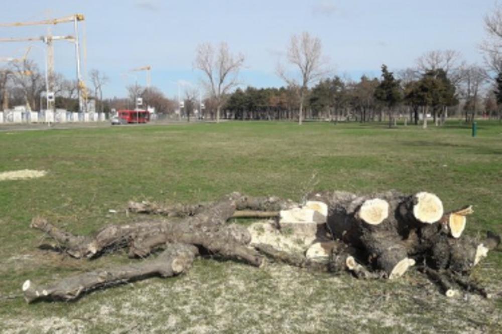 U SRBIJI JE PARE NAJLAKŠE OPRATI BETONOM! Skandal na Ušću, isečeno 100 stabala zbog GONDOLE! ZA TO NIKO NE MARI!