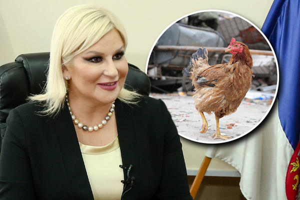 MOST IZNAD AUTOPUTA OBEZBEĐEN ŽICOM ZA ČUVANJE KOKOŠAKA! Tviteraši zbog OVOGA šalju poljupce Zorani Mihajlović!