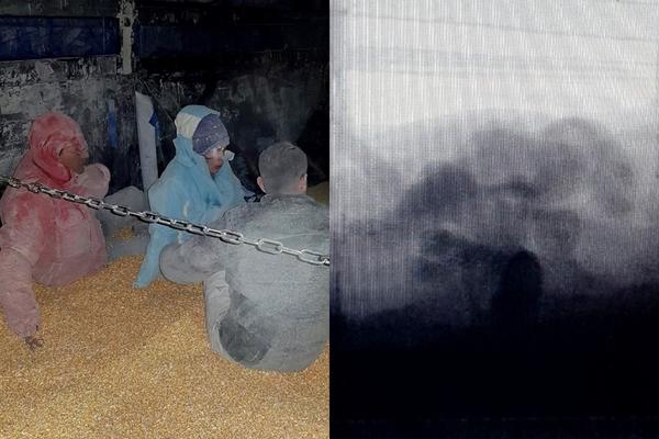 CARINICI OTKRILI 5 MIGRANATA U TOVARU KUKURUZA: Stigli su iscrpljeni i prekriveni slojevima prašine i ljuspica