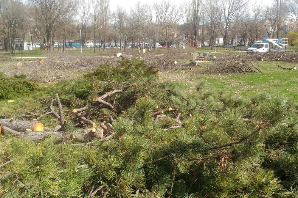 ONI SEKU, MI SADIMO! Ne davimo Beograd najavilo akciju kao odgovor na seču drveća zbog gondole!