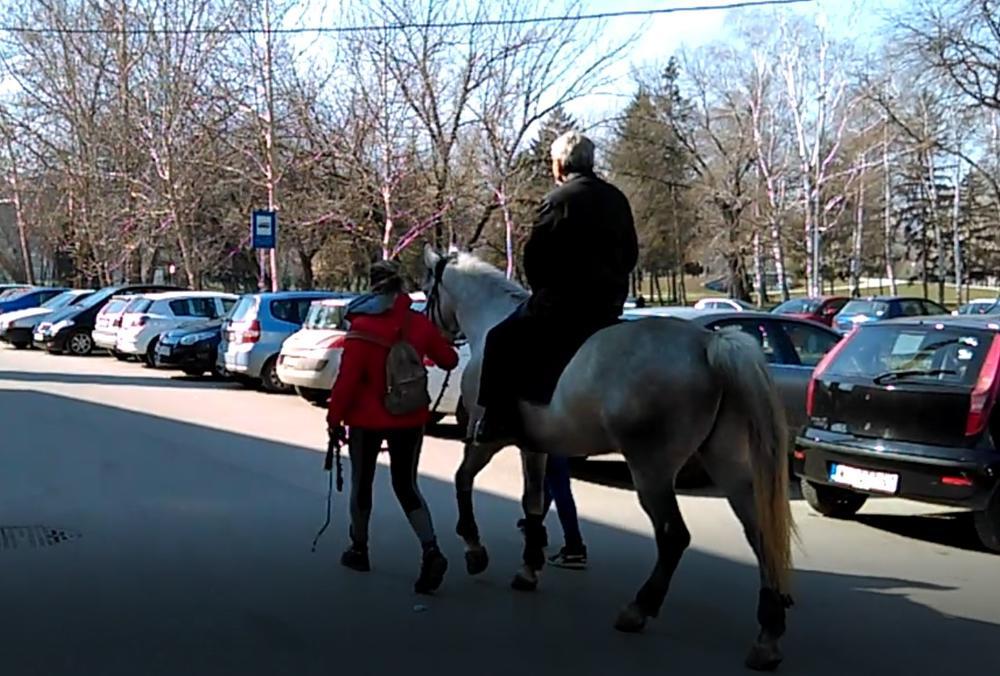 Miodrag Stanković Uča na belom konju po imenu Amigo   