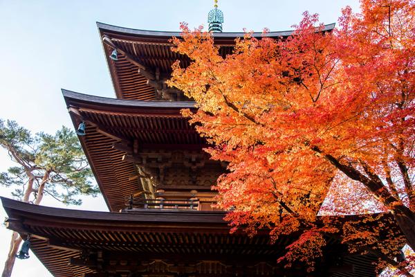PROVERITE DA LI JE NEKA OSOBA S JAKIM RAZLOGOM UŠLA U VAŠ ŽIVOT: Ova japanska legenda će vam pomoći u tome