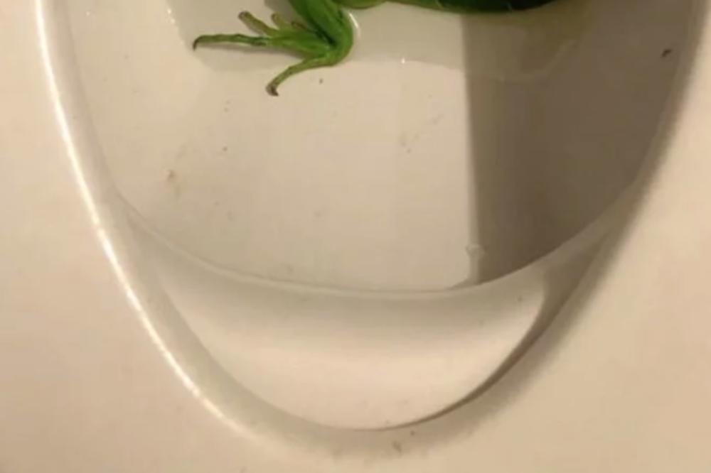 PODIGAO JE DASKU WC ŠOLJE I PRESTRAVIO SE: Čim je video o čemu se radi POZVAO VATROGASCE (FOTO)