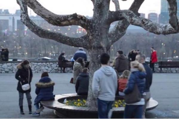 RUŠI SE JOŠ JEDAN PARK U BEOGRADU ZBOG GONDOLE! Vlast se dvoumi između Tašmajdana i Pionirskog parka