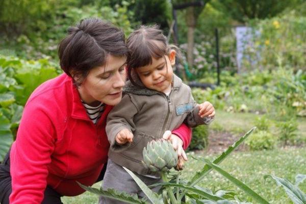 SUPER MOĆNA BILJKA SA VELIKIM LEKOVITIM SVOJSTVOM: Ona čini čuda u organizmu!