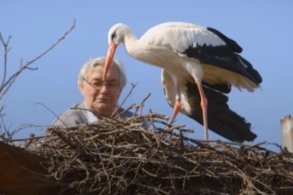 NASTAVLJA SE NAJLEPŠA LJUBAVNA PRIČA NA SVETU! Klepetan se VRATIO svojoj Malenoj i to mnogo ranije