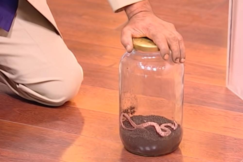 VANZEMALJAC U JUTARNJEM PROGRAMU KOD MARIĆA: Čovek ne zna da li da se SMEJE ILI DA PLAČE! (VIDEO)