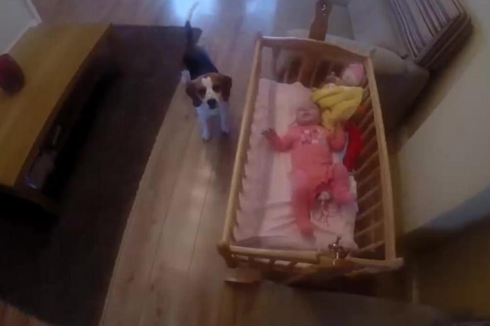 KAKO DA UŠTEDITE PRI KUPOVINI PELENA ZA BEBE? Ovaj jednostavni TRIK će vam doneti BRDO para