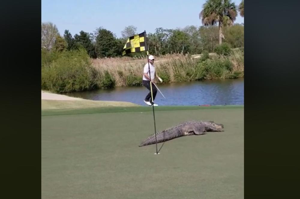 IGRAO GOLF, A ONDA JE PRETRNUO OD STRAHA ZBOG ONOGA ŠTO JE VIDEO NA TERENU: Čovek se umalo nije srušio (VIDEO)