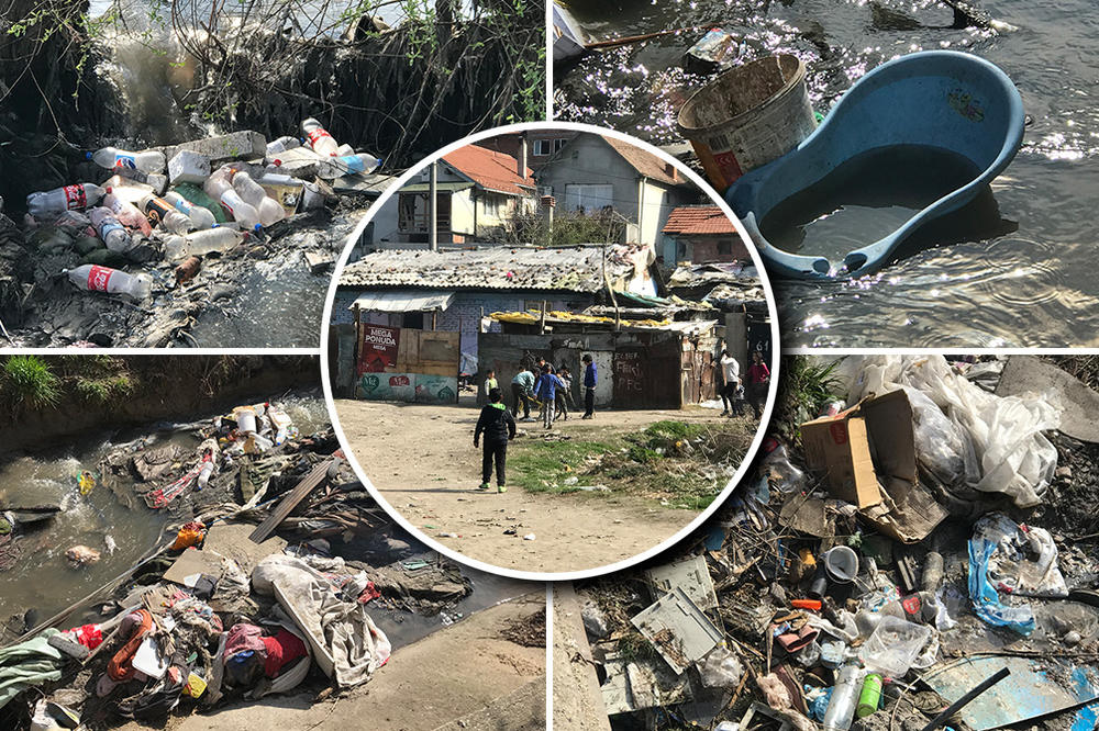 MIRIJEVSKI POTOK, PRAVA EKOLOŠKA KATASTROFA: Ljudi žive u smradu okruženi đubretom, TAMO BACAJU I MRTVE KOZE I PSE