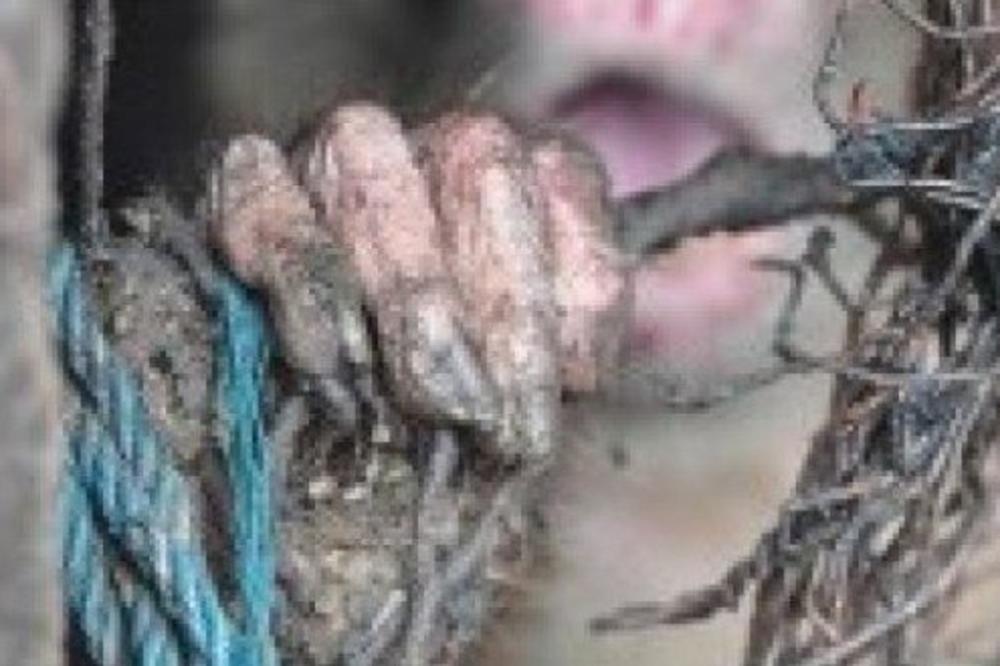 ANONIMNA DOJAVA DOVELA JE SPASIOCE DO RUPE U ZIDU: Nisu mogli da veruju šta su pronašli unutra!