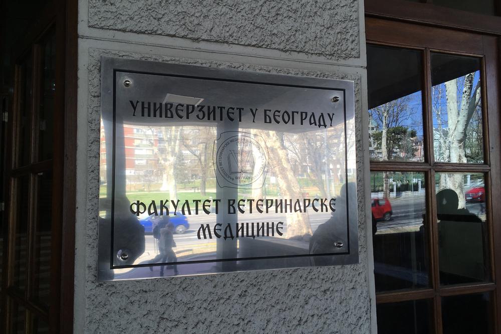 CELA SRBIJA JE PLAKLA KADA JE ISPRIČAO TAJNU SVOJE PORODICE: Siniša izašao da uzme DIPLOMU, pa je započeo ISPOVEST