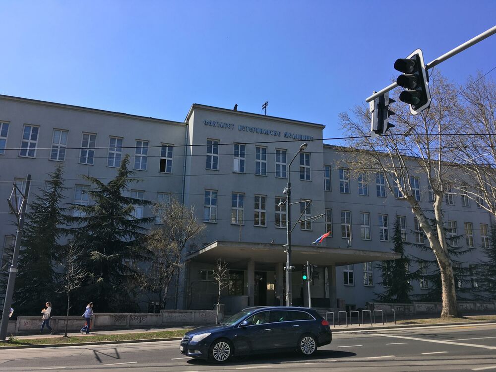 Veterinarski fakultet