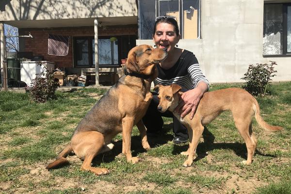 PRODAJE NASLEDSTVO ZBOG SVOJIH PASA I MAČAKA: Aleksandra je ŽRTVOVALA 6 godina života zbog NJIH! OVAKO SADA ŽIVI