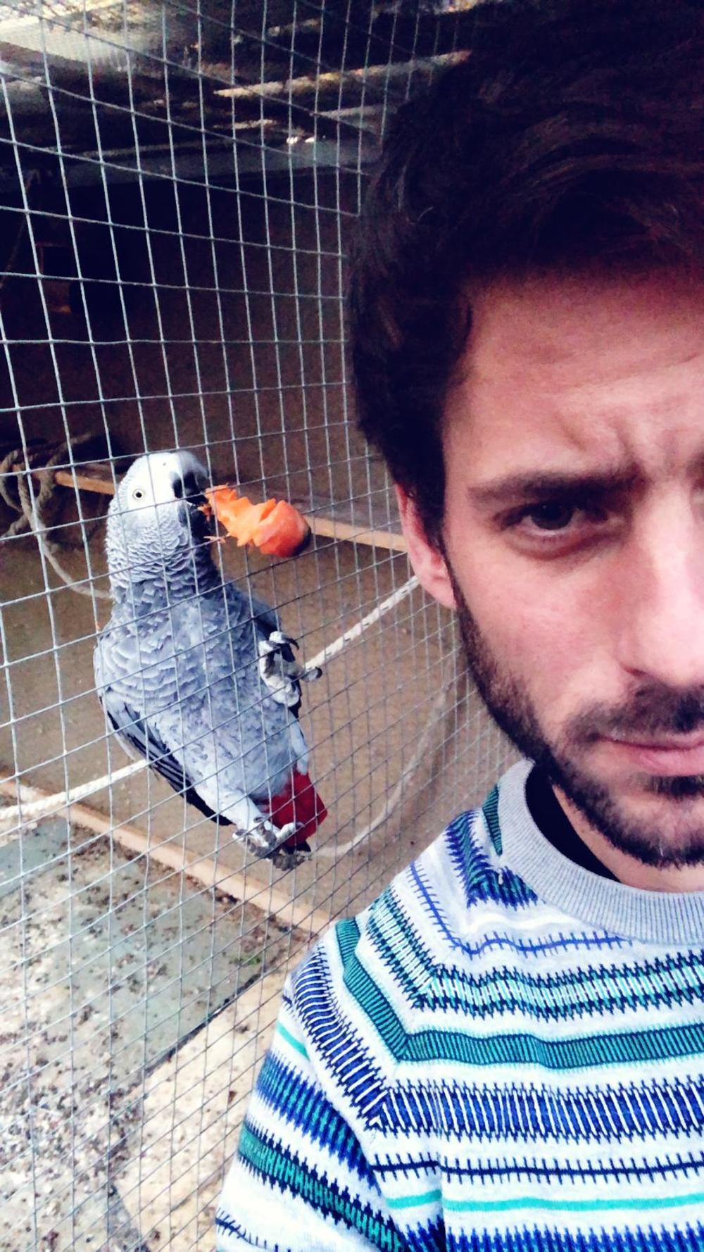 Žarko se potpuno povukao uz javnosti