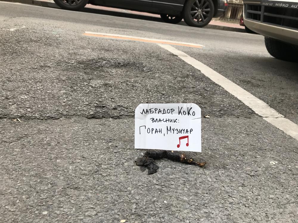 Pseći izmet na ulicama Beograda  