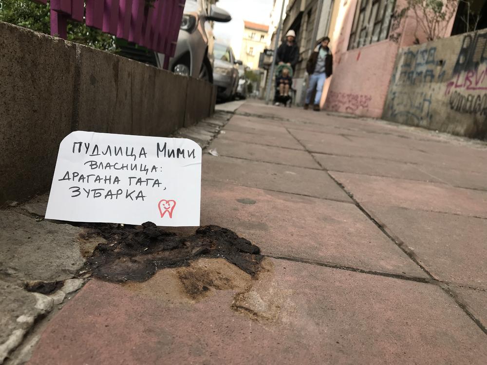 Pseći izmet na ulicama Beograda  