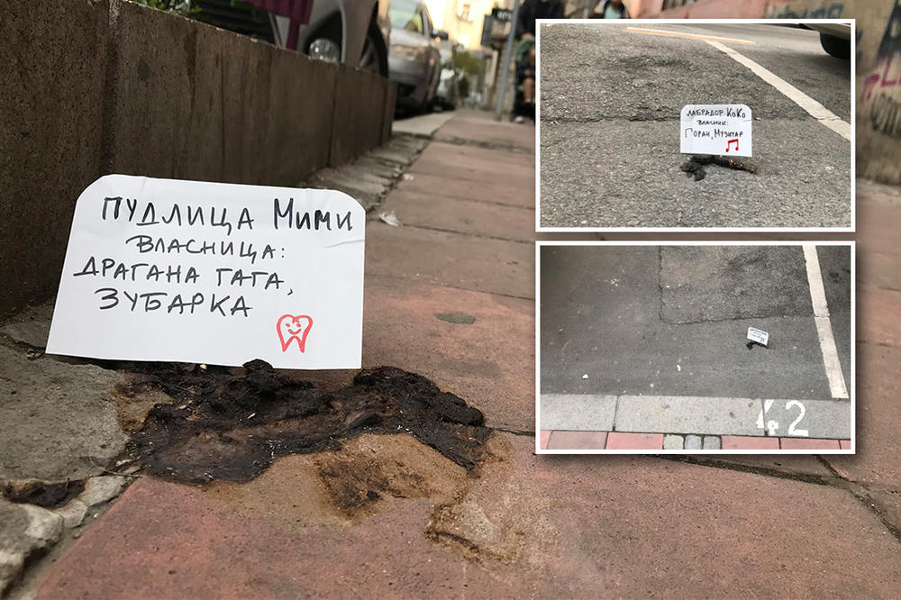 JA SAM PUDLICA MIMI, OVO JE MOJE, I GAZDARICA MI JE ZUBARKA GAGA! Da li ste vi bili na STUBU SRAMA? (FOTO)