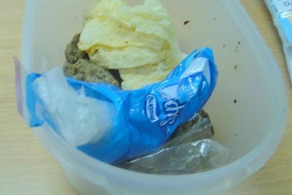 ĆEVAPI I PIĆA BILI SU U GEPEKU RENOA: Kad su Carinici pogledali malo bolje - IMALI SU I ŠTA DA VIDE (FOTO)